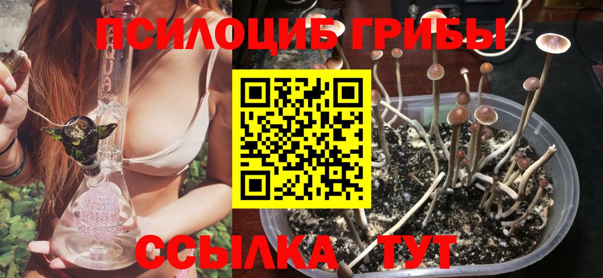 Галлюциногенные грибы ЛСД  Вход с VPN  Верхняя Пышма 